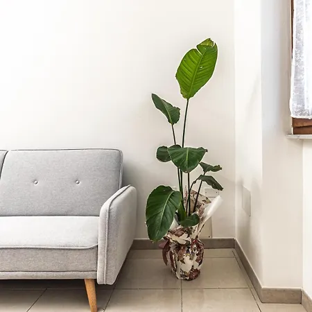 شقة Casa Ade - Terrazzo In Centro A